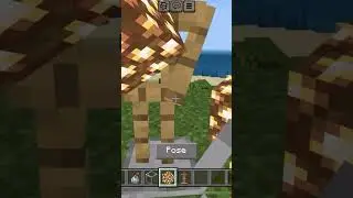 MINECRAFT TROLL SKULL EDIT TIKTOK BUILD HACK
