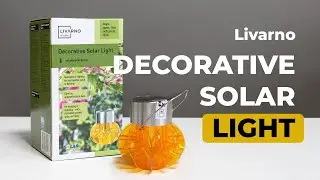 LIVARNO: Декоративный солнечный светильник 👉 Распаковка