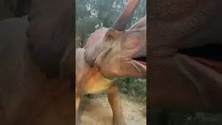 Jurassic world Janeshwar park 🏞️🏞️🏞️🏞️