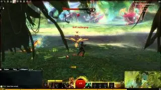 Guild Wars 2 Stress Test Event Friday 8/10/12 Sylvari Starting Area