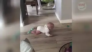 Funniest Baby Accident Videos