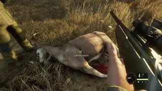 Hunter Call of the Wild/ With CST Gaming Melo!