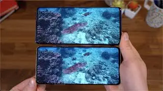 OnePlus 8 vs OnePlus 8 Pro: The Differences!