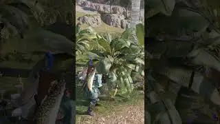 🍌 BEST LOCATION for BANANAS at Once Human #oncehuman #oncehumanmobile #bananas