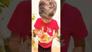o cultivo de tomate cereja no vaso #colheita #horta #tomate #youtube #shorts #short