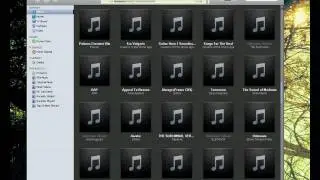 Ubuntu-iTunes9