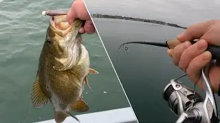 1000 islands spring bass fishing