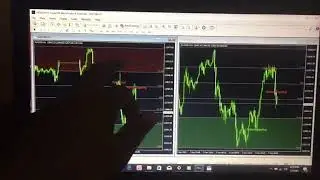 how to use the Belly Forex system  that is Forbidden Forex system  90 accurate profits