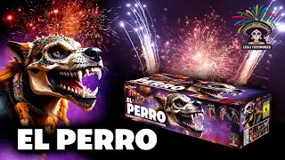 El Perro - 04441 | CAT F2 | Official video