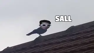 ZAPPY CIOROIU' - Duminica de Meme-uri #2
