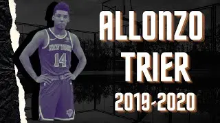 Allonzo Trier 2019-2020 Season Highlights