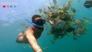 LOS CABOS -  Snorkel y Playa el Chileno ¿Cuánto cuesta? DIA 2 @sebitastrip