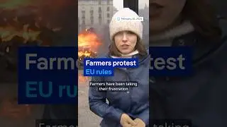 Rosie Birchard Reporter Showreel: Vertical Digital Video