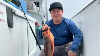 Fishing on the redondo special 2024