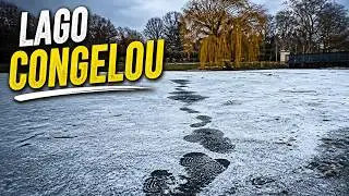 London, January 2026, Lake Frozen