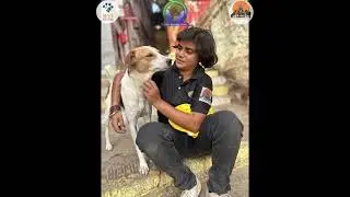 Silent Voices, Powerful Actions | Help Animals India