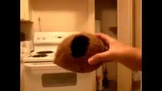 Coconut cave