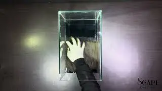 Part 1 making a mini paludarium with vertical green wall 🌱#paludarium #nature #plants #viralvideo 