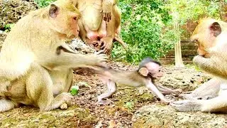 Maria strongly drag baby Daniela, Why Maria doing like this! Maria start Now!