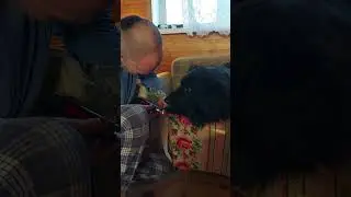 НО.Подрезка и оформление когтей на пп.Только так должна производиться процедура🙂