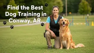 Find the Best Dog Training in Conway   AR Arkansas