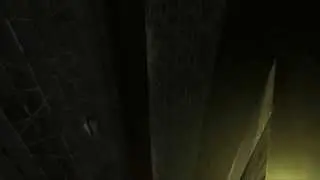 surf_vector | copy-mark