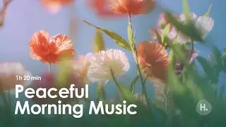 Peaceful Morning Music | 528Hz Positive Energy & Relaxing Instrumental for Calm, Focus & Meditation