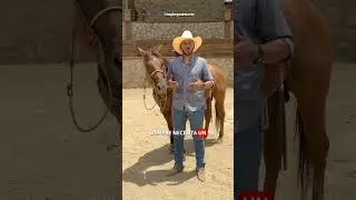 SI vas a MONTAR a CABALLO debes SABER ESTO:
