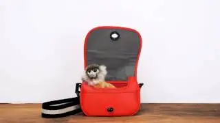 Bon Voyage
