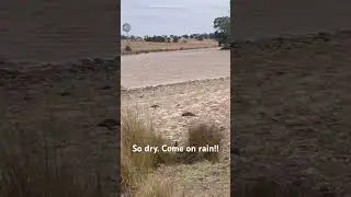Need rain in Victoria #aussiefarms