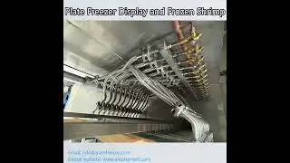 Hydraulic Contact Plate Freezer