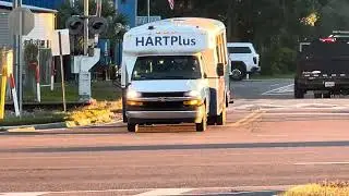 HARTPlus Bus goes by Seffner, FL