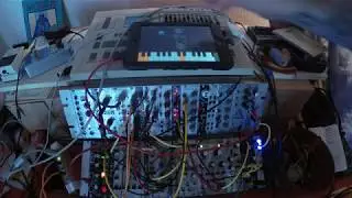 Kymatica AUM & Sector with Ruismaker Rozeta & Doepfer A111 #2