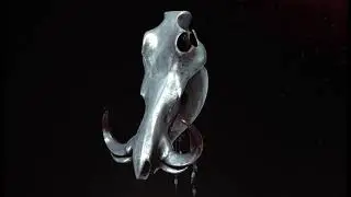 Sever The Boar's Head - Within Ourselves (Visualizer)