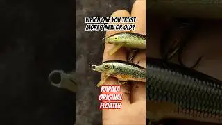 Old vs New Rapala Original Floater 🎣 (Finland vs Ireland) Pt.2