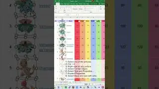 Excel Tips and Tricks - How to filter data with pictures?