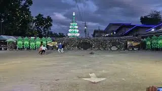 LANGUB FESTIVAL 2026 