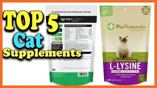 ✅Top 5 Best Cat Supplements of 2025