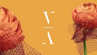 Avoure - Pink