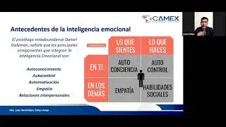 Inteligencia emocional Importancia y beneficios 01/03