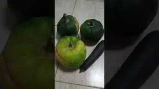 #Pumpkin New Harvest #satisfying #viral #trending #fresh #vegetable #shorts #shortvideo