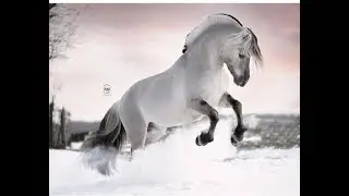 С НГ и добра и здоровья и счастья.)