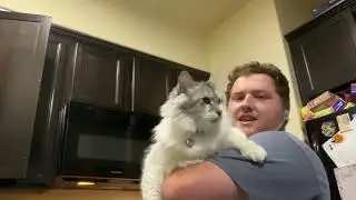 I Make Dinner and Talk (background noise warning also my audio wasn't the best)