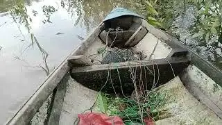 Orang bilang heran mancing ikan gabus umpan ulaet