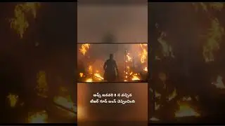 January 2026 Monthly Movie Recap (part 2) | Tollywood, Hollywood & Pan-India Updates |The Plot Fixer