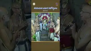 తిరుమల నంబి అవతార మహోత్సవాలు || SVBC TTD