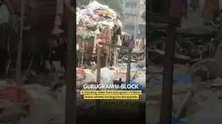 U Block Under Siege 🚨 | Gurugram&rsquo;s Garbage Crisis Exposed