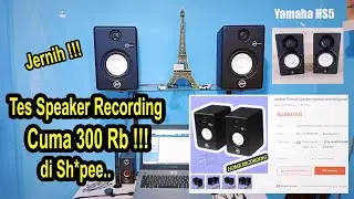 Review Speaker Flat Harga 300rb. Home Recording Pemula Wajib Coba!!