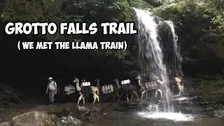 Grotto Falls Trail in Great Smoky Mountains National Park- Hike With llamas
