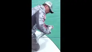 🎣🐟 Fun fighting little bonefish &ndash; an angler's delight! 💪